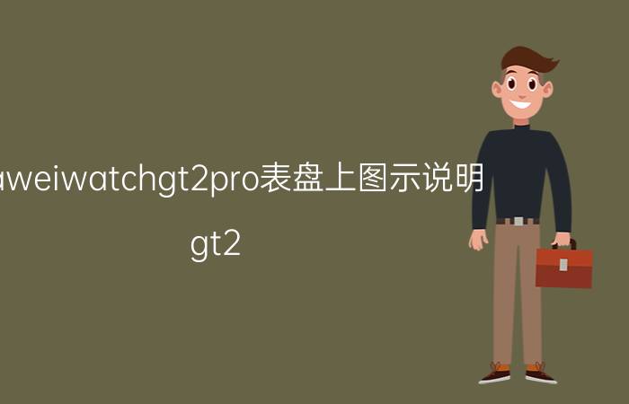 huaweiwatchgt2pro表盘上图示说明 gt2 pro 商务经典表盘什么意思？